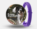 Coleira Anti Pulgas e Carrapatos Premium | Neck Band Pet